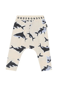 Pant Mr Sharky Roomies CLEARANCE