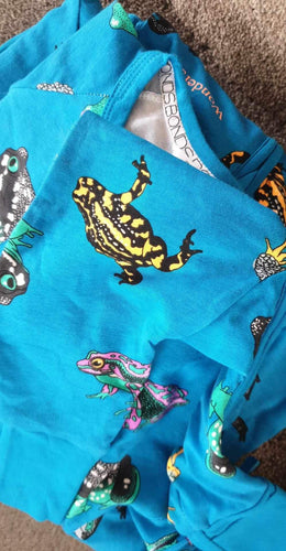 Blue Frog