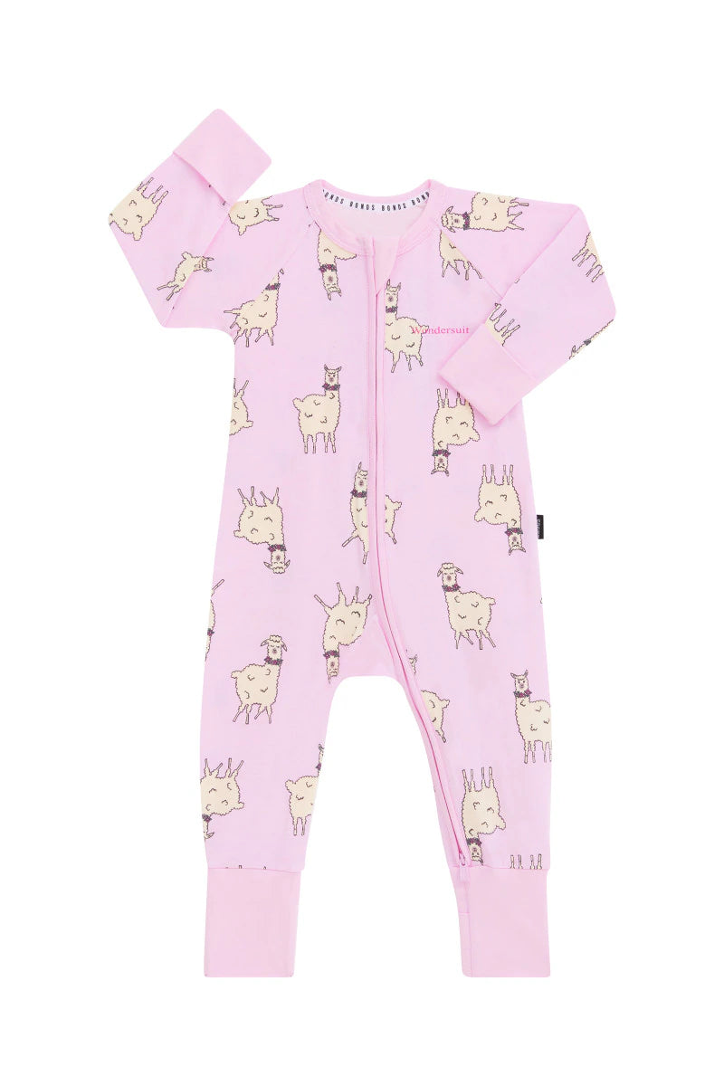 Llamazing Llama